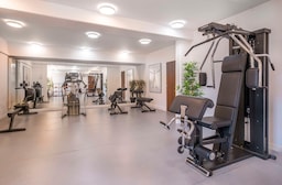 Radisson Blu Hotel, Marseille Vieux Port - Fitness