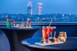 Radisson Blu Hotel, Milan - Terrazza della suite Presidenziale