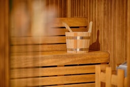 Radisson Blu Hotel, Milan - Sauna