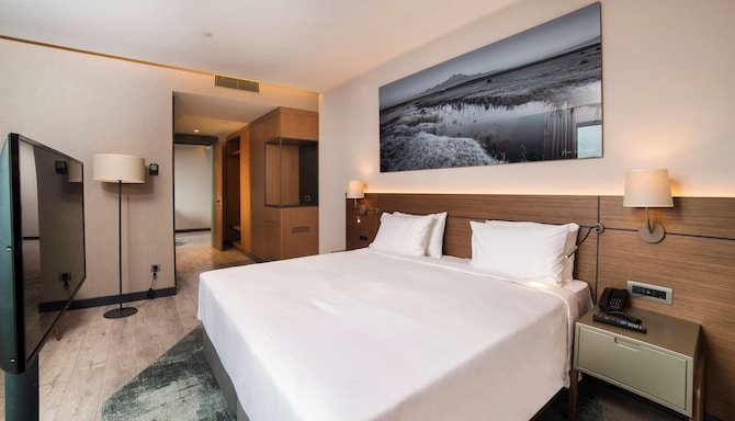 Radisson Blu Hotel, Mount Erciyes - Junior Suite