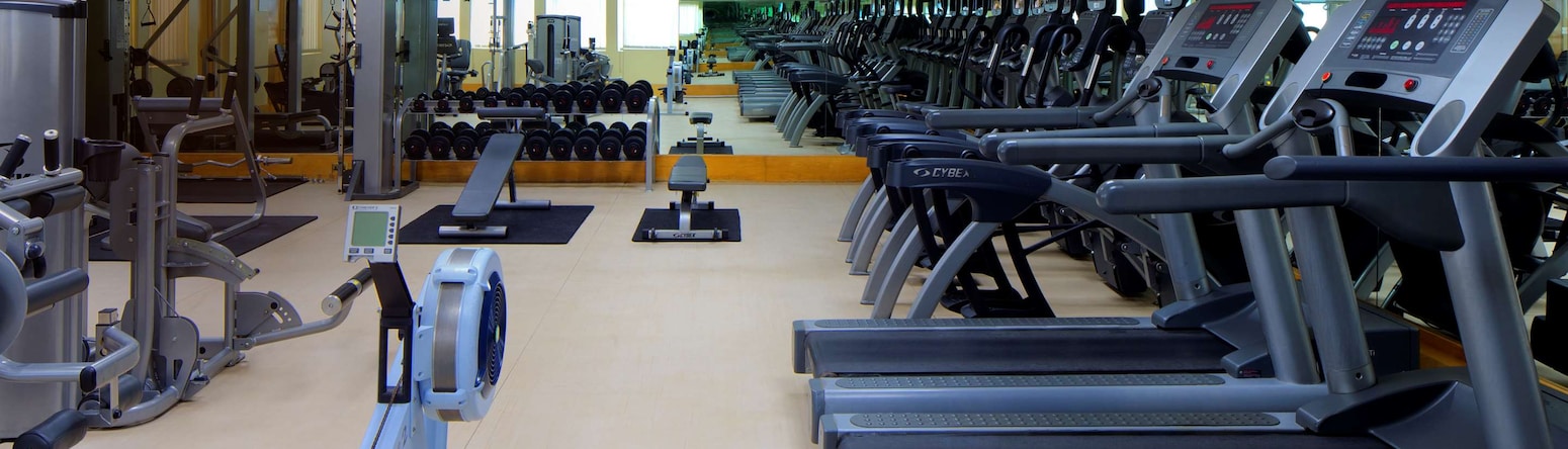 Radisson Blu Hotel, Muscat - Gym