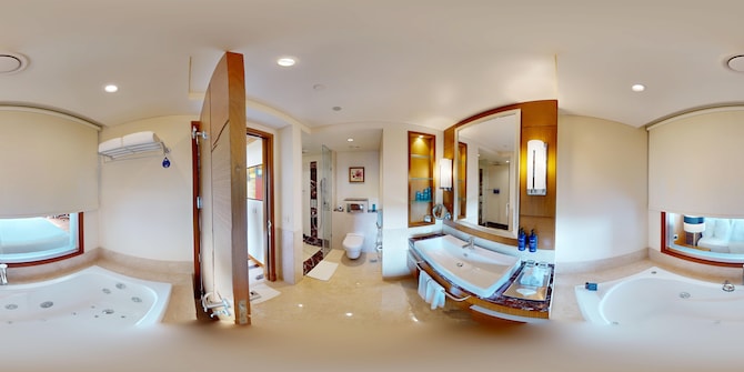 Radisson Blu Hotel, Nagpur - Business Class Bathroom
