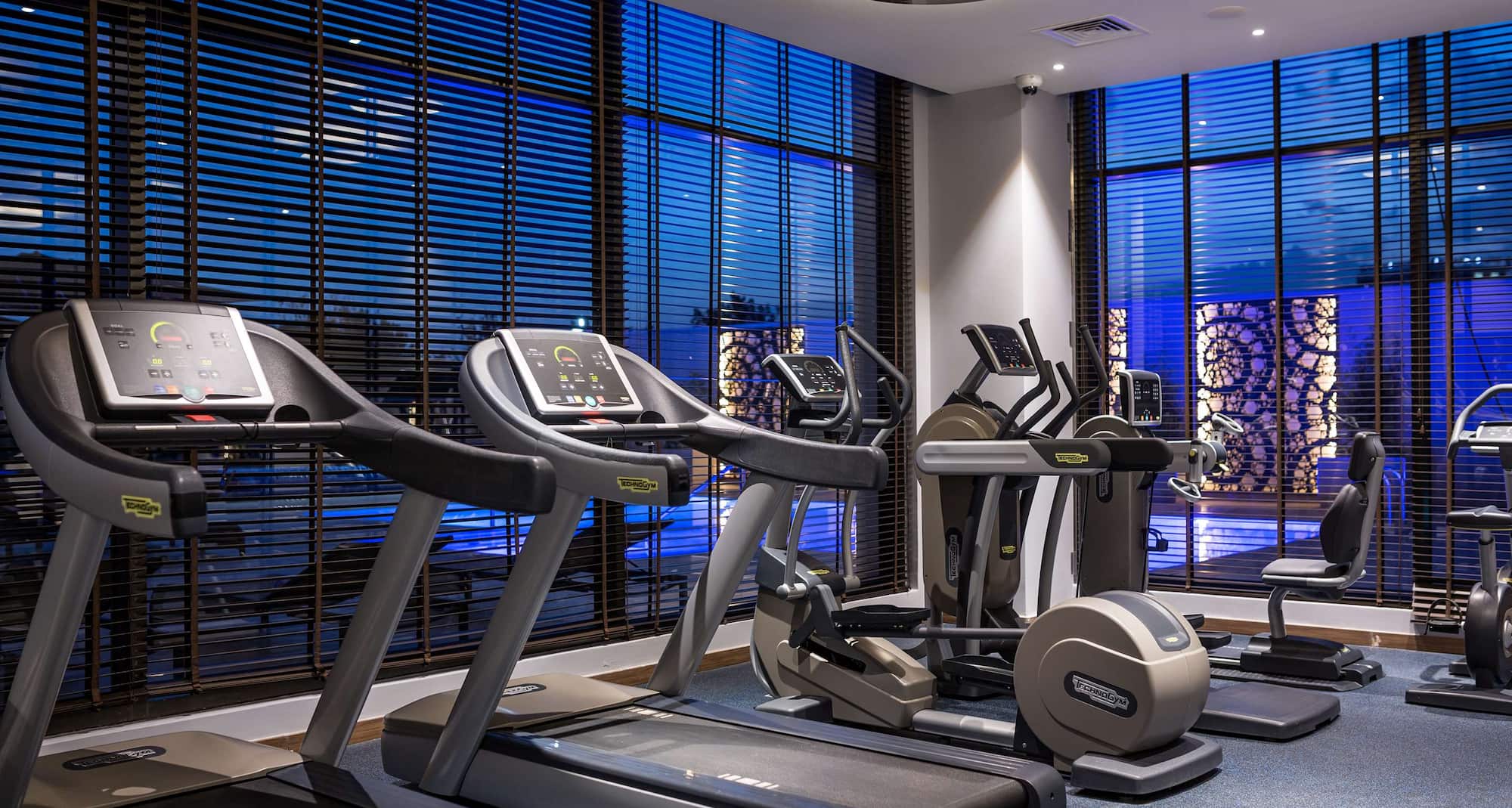 Radisson Blu Hotel Nairobi, Upper Hill - Cardio Gym