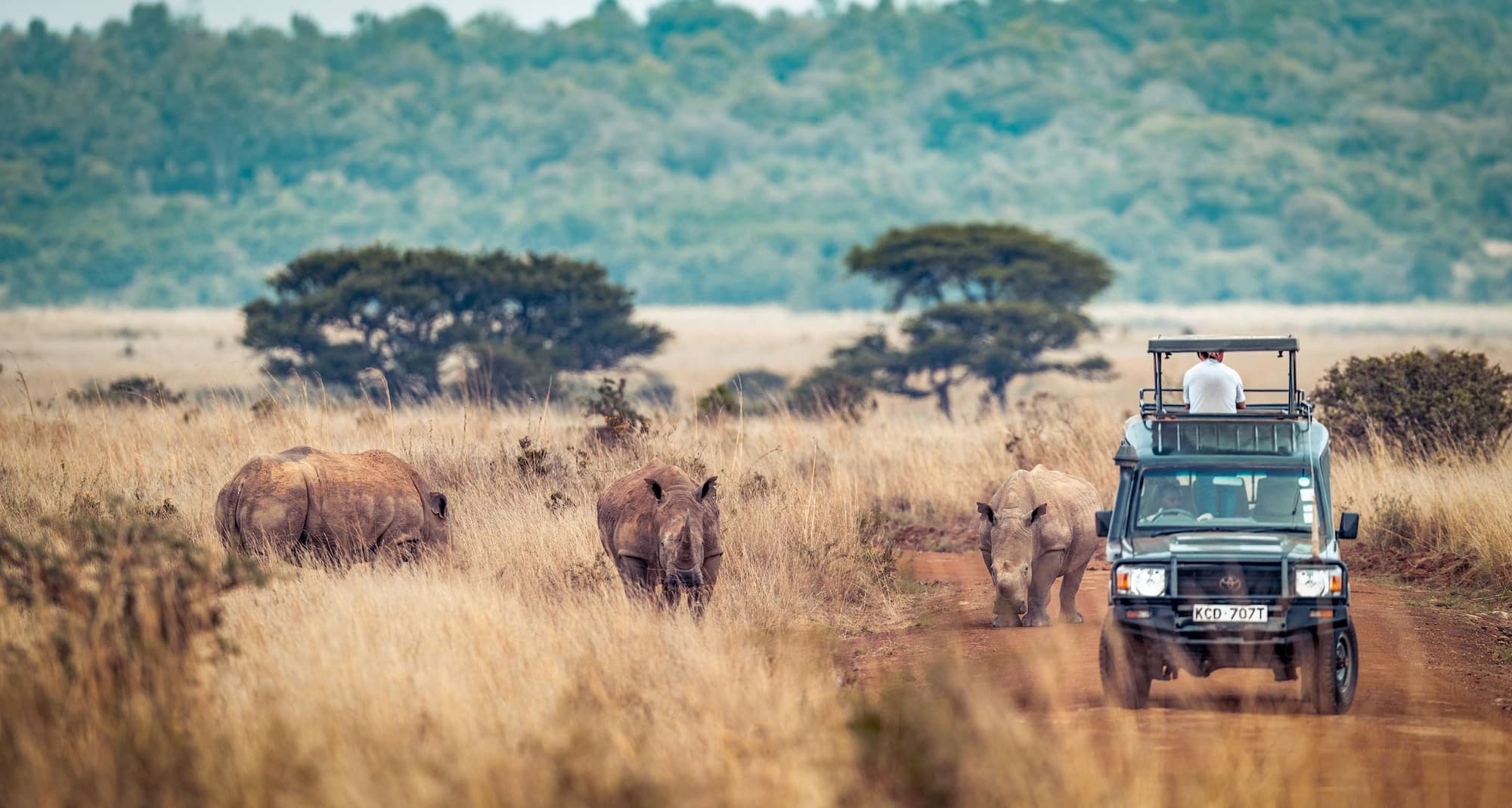 Radisson Blu Hotel Nairobi, Upper Hill - Nairobi National Park