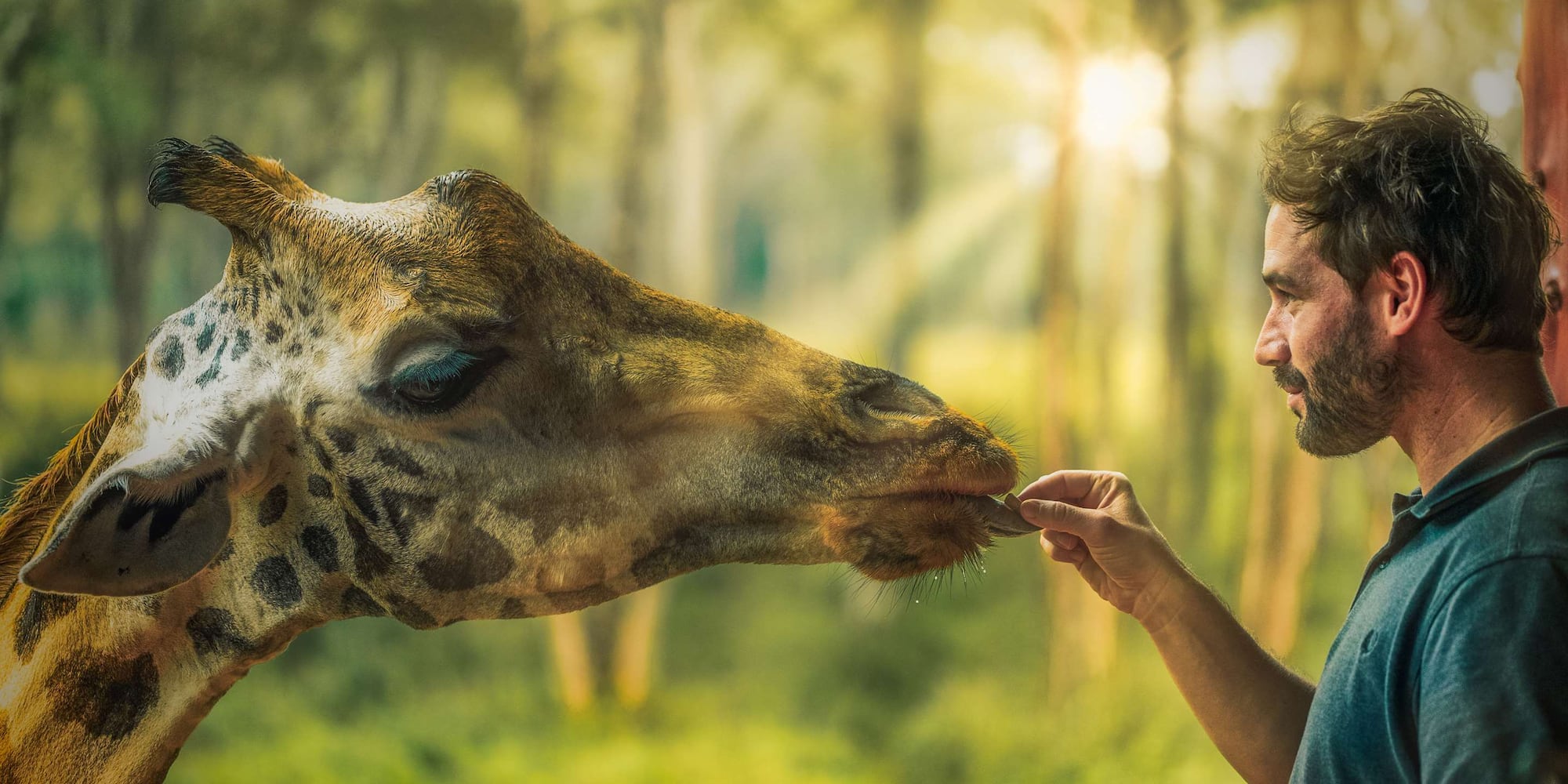 Radisson Blu Hotel Nairobi, Upper Hill - Giraffe Center