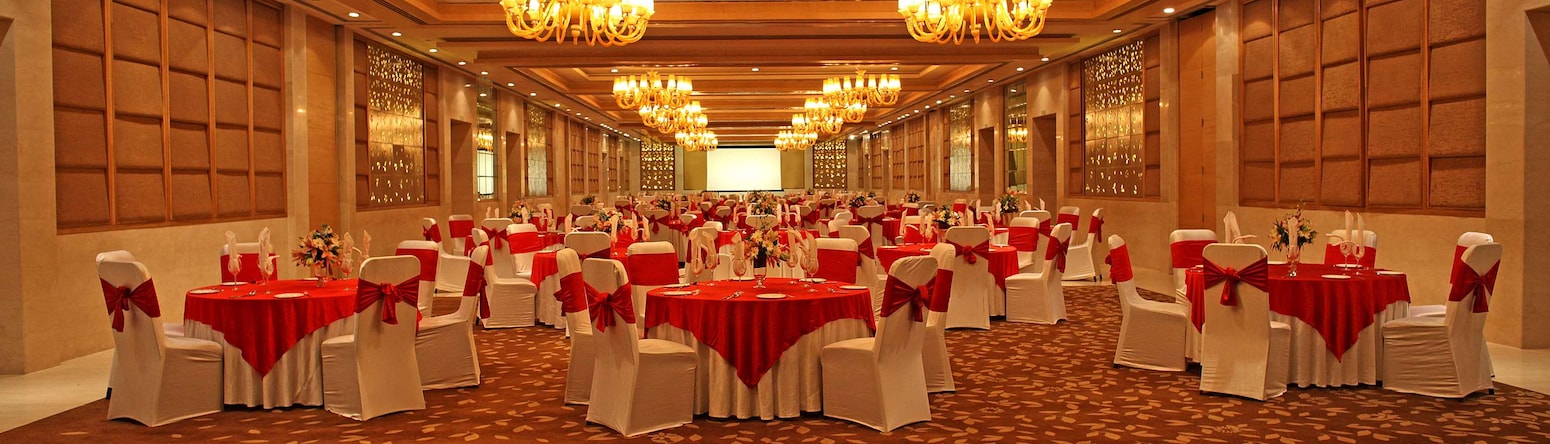 Radisson Blu New Delhi Dwarka - Ballroom