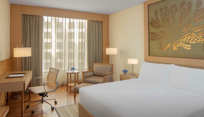 Radisson Blu Hotel, New Delhi Dwarka - Business Room