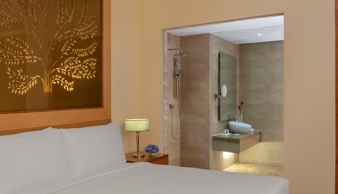 Radisson Blu Hotel, New Delhi Dwarka - Guest Room