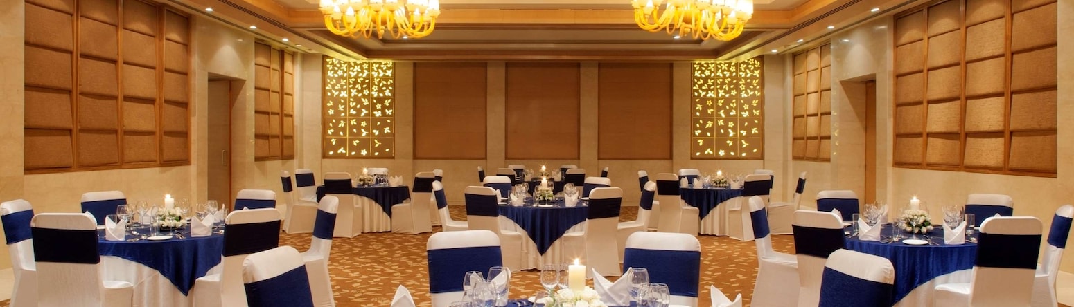 Radisson Blu New Delhi Dwarka - Conference Room