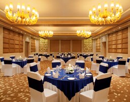 Radisson Blu New Delhi Dwarka - Conference Room