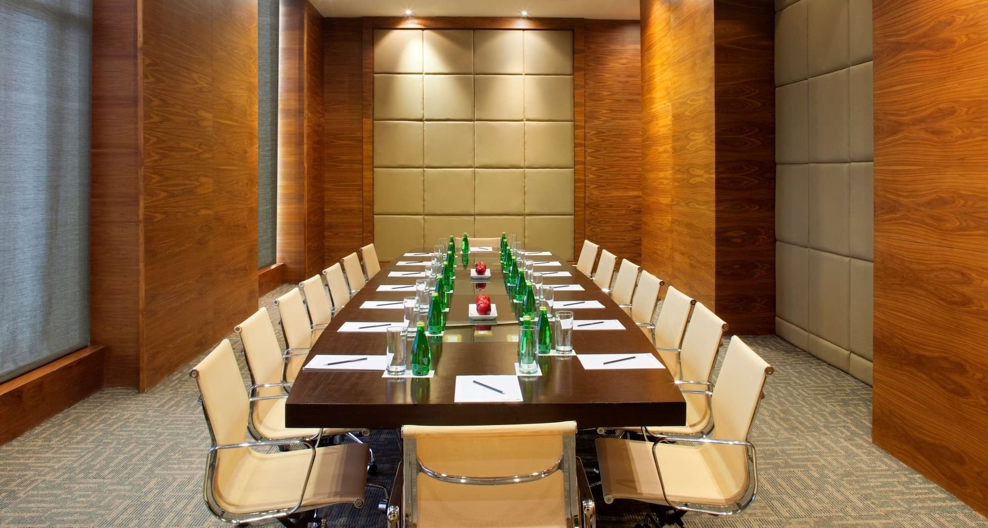 Radisson Blu New Delhi Dwarka - Meeting Room