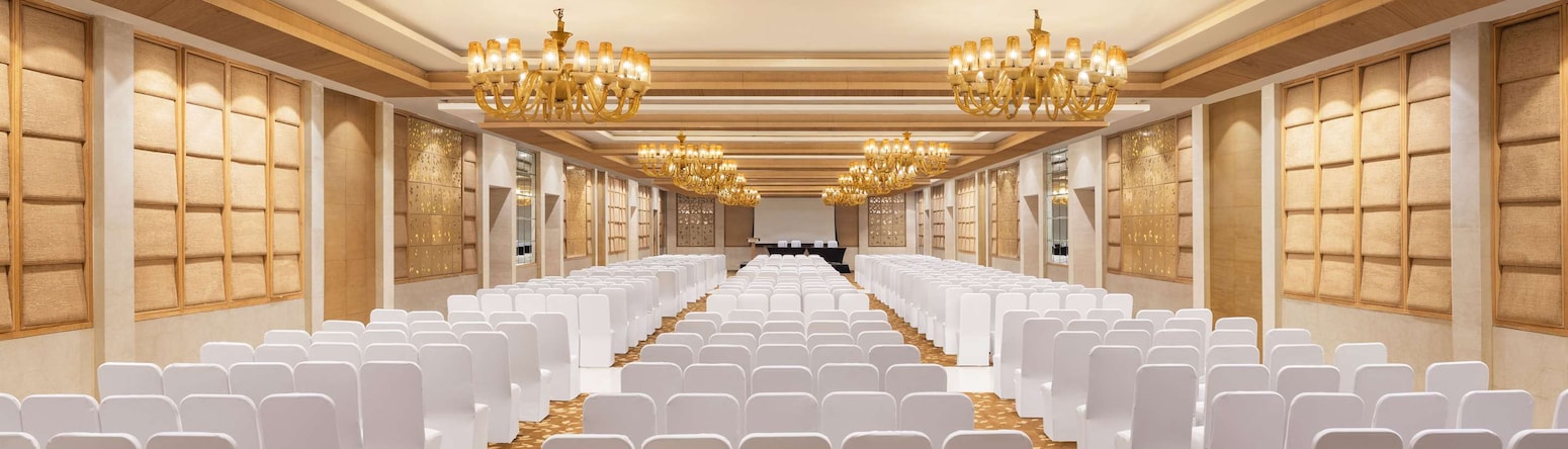 Radisson Blu Hotel, New Delhi Dwarka - Meeting room