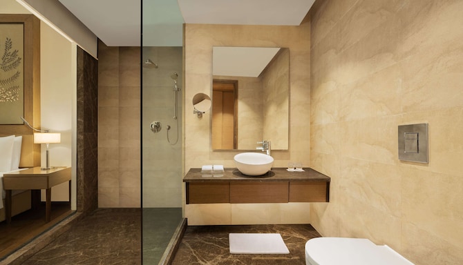 Radisson Blu Hotel, New Delhi Dwarka - Guest room bath