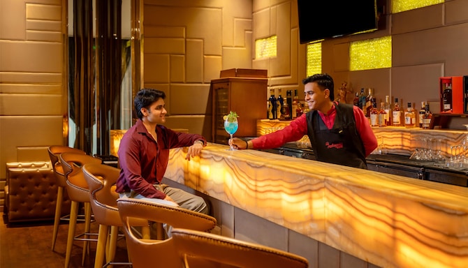 Radisson Blu Hotel, New Delhi Paschim Vihar - Bar