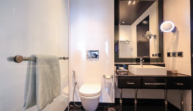 Radisson Blu Hotel, New Delhi Paschim Vihar - Superior Room Washroom