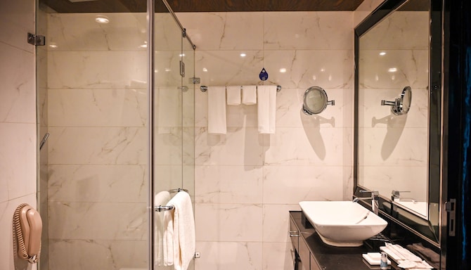 Radisson Blu Hotel, New Delhi Paschim Vihar - Business Class Washroom