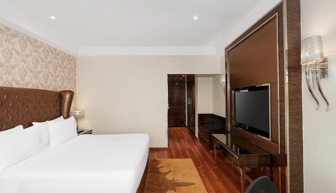 Radisson Blu Hotel, New Delhi Paschim Vihar - Business Class