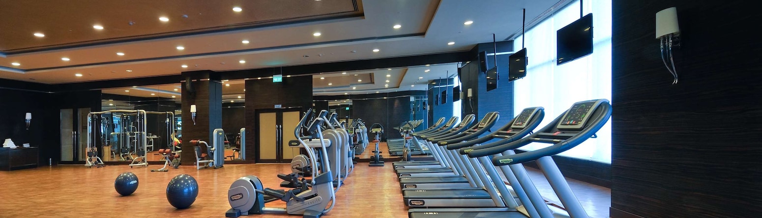 Radisson Blu Hotel New Delhi Paschim Vihar - Fitness Center