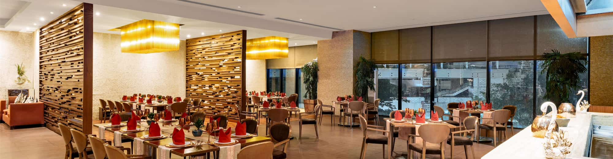 Radisson Blu Hotel, New Delhi Paschim Vihar - Indyaki