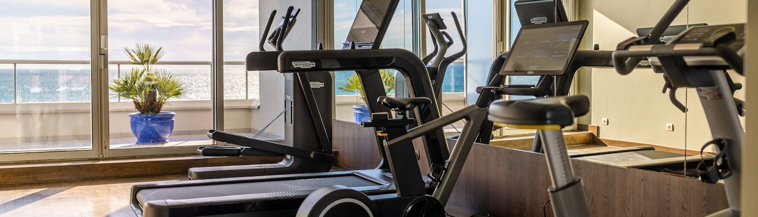 尼斯丽笙酒店 - 健身房