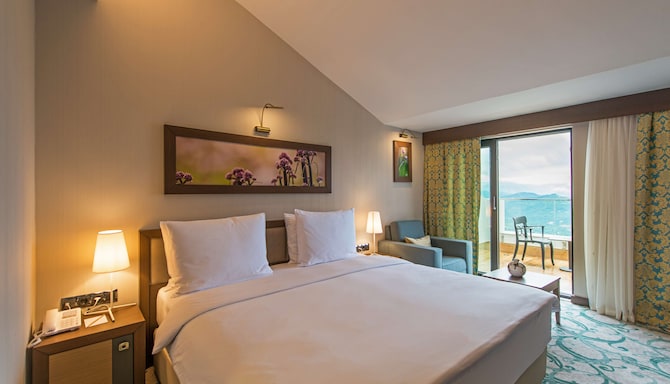 Radisson Blu Hotel, Ordu - Business Class Room