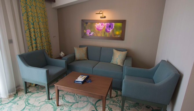 Radisson Blu Hotel, Ordu - Business Class Living Area