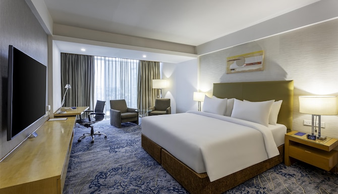 Radisson Blu Hotel, Pune Kharadi - Business Class Room
