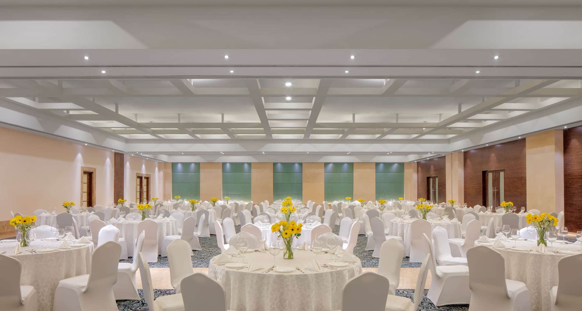 Radisson Blu Hotel, Ranchi - Ballroom