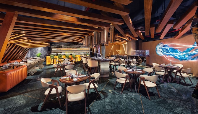 Radisson Blu Hotel, Ranchi - Pa Pa Ya