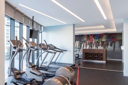 Radisson Blu Hotel and Residence, Maputo - Gym