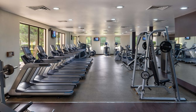 Radisson Blu Hotel and Resort, Al Ain - Gym