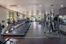 Radisson Blu Hotel and Resort, Al Ain - Gym