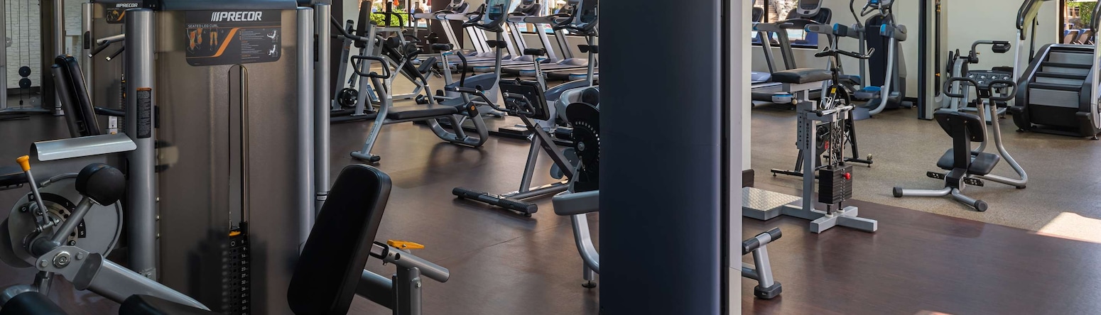 Radisson Blu Hotel and Resort, Al Ain - Gym