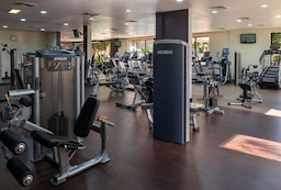 Radisson Blu Hotel and Resort, Al Ain - Gym