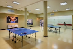 Radisson Blu Hotel and Resort, Al Ain - Table Tennis