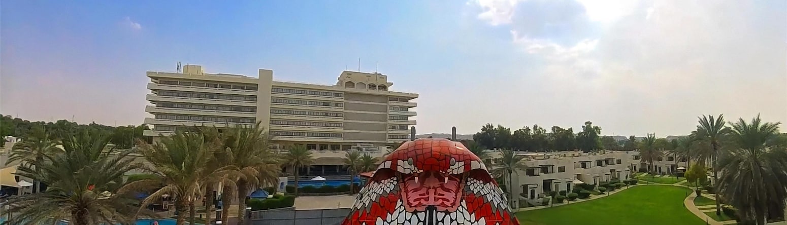 Radisson Blu Hotel and Resort, Al Ain - Cobra Waterslide