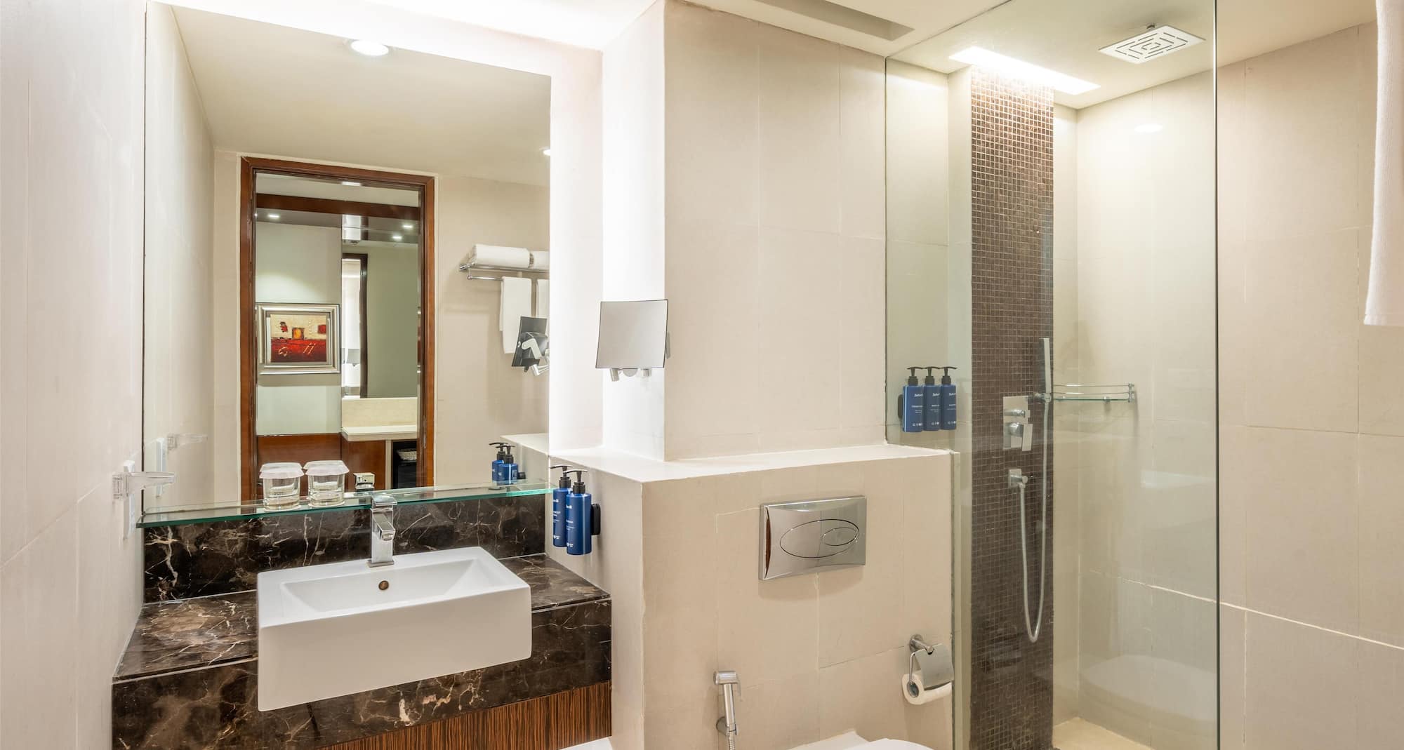 Radisson Blu Hotel, Rudrapur - Superior Bathroom