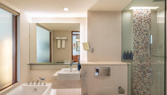 Radisson Blu Hotel, Rudrapur - Business Bathroom