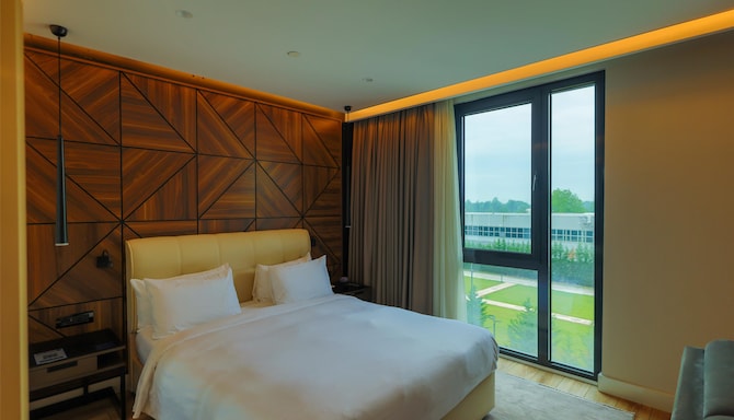 Radisson Blu Hotel, Sakarya - Standard Room