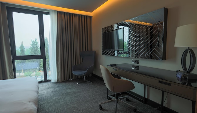 Radisson Blu Hotel, Sakarya - Standard Room