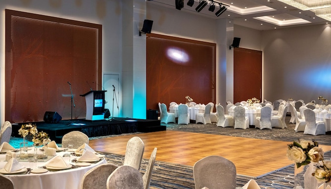 Radisson Blu Hotel, Sakarya - Karya ballroom