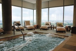 Radisson Blu Hotel Sandton, Johannesburg - Spa Pool