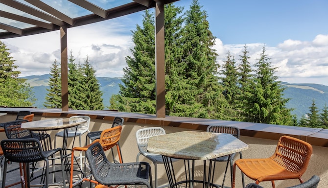 Radisson Blu Hotel, Sinaia Cota 1400 - Bar terrace
