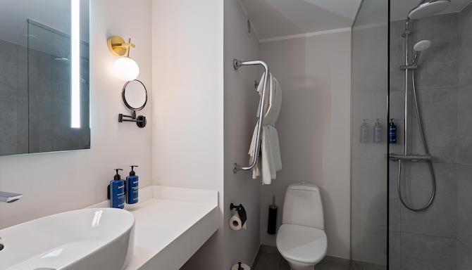 Radisson Blu Hotel & Spa, Daugava Riga - Люкс