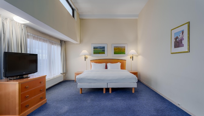 Radisson Blu Hotel & Spa, Daugava Riga - Люкс