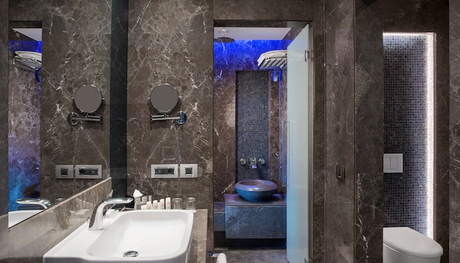 Radisson Blu Hotel & Spa, Istanbul Tuzla - Bathroom