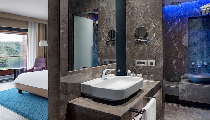 Radisson Blu Hotel & Spa, Istanbul Tuzla - Bathroom with partial room view