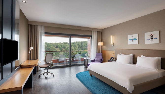 Radisson Blu Hotel & Spa, Istanbul Tuzla - Premium Room