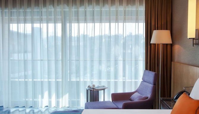 Radisson Blu Hotel & Spa, Istanbul Tuzla - Guestroom Chair