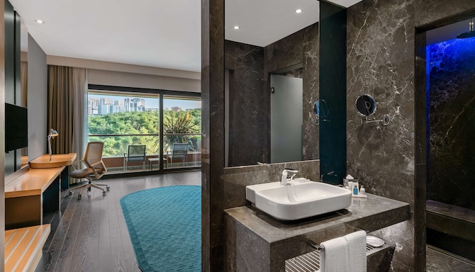 Radisson Blu Hotel & Spa, Istanbul Tuzla - Premium Room with bathroom